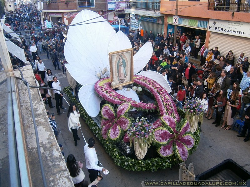 clic para ver todas las fotos de la peregrinación